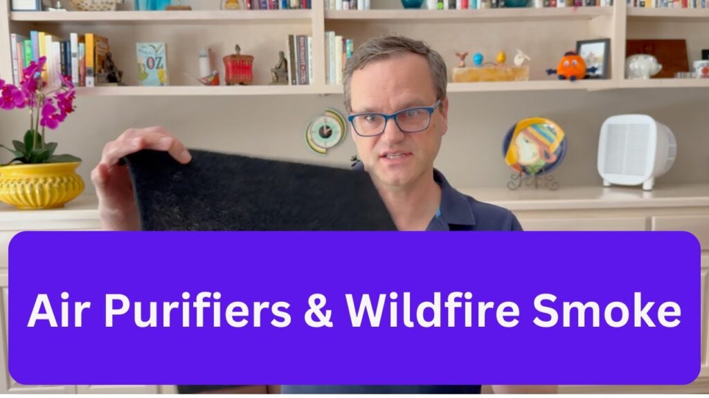 How to Choose the Best Air Purifier for Wildfire Smoke