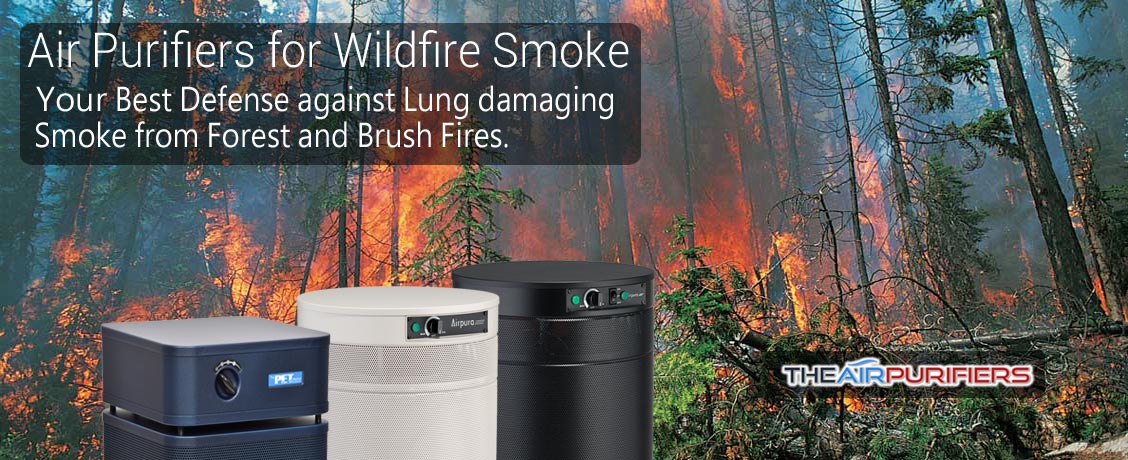 How to Choose the Best Air Purifier for Wildfire Smoke