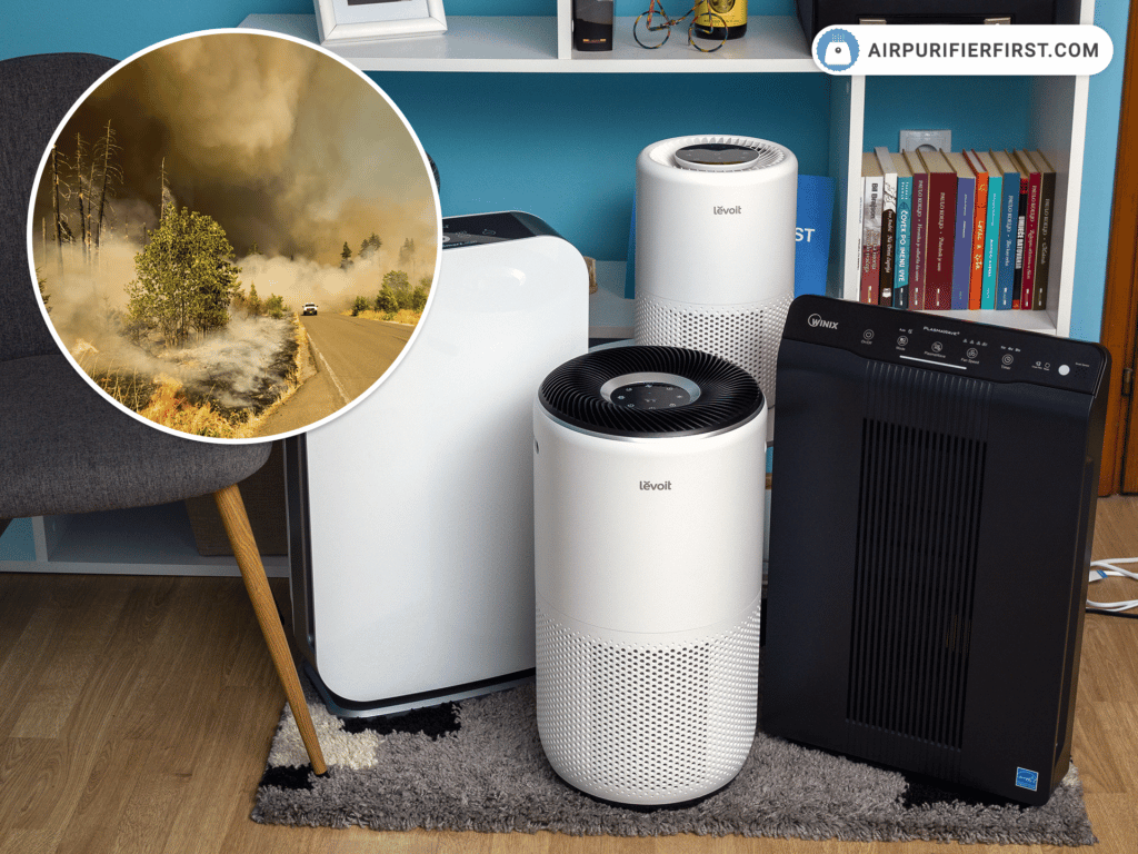 How to Choose the Best Air Purifier for Wildfire Smoke